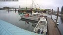 ./images/quadra/hbidock/20260319/hbidock20260319_115501M.jpg