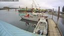 ./images/quadra/hbidock/20260319/hbidock20260319_134001M.jpg