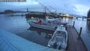 ./images/quadra/hbidock/20260320/hbidock20260320_070501M.jpg