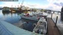 ./images/quadra/hbidock/20260320/hbidock20260320_090500M.jpg