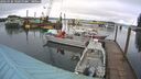 ./images/quadra/hbidock/20260320/hbidock20260320_102500M.jpg
