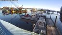 ./images/quadra/hbidock/20260321/hbidock20260321_092501M.jpg