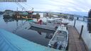 ./images/quadra/hbidock/20260322/hbidock20260322_071501M.jpg