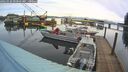 ./images/quadra/hbidock/20260322/hbidock20260322_093002M.jpg