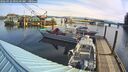 ./images/quadra/hbidock/20260322/hbidock20260322_095500M.jpg