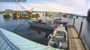 ./images/quadra/hbidock/20260322/hbidock20260322_095501M.jpg