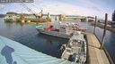 ./images/quadra/hbidock/20260322/hbidock20260322_121001M.jpg