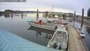 ./images/quadra/hbidock/20260323/hbidock20260323_182500M.jpg