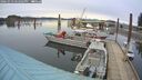 ./images/quadra/hbidock/20260323/hbidock20260323_182501M.jpg