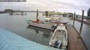 ./images/quadra/hbidock/20260324/hbidock20260324_141001M.jpg