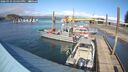 ./images/quadra/hbidock/20260324/hbidock20260324_154500M.jpg