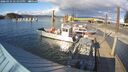 ./images/quadra/hbidock/20260324/hbidock20260324_172000M.jpg