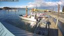 ./images/quadra/hbidock/20260324/hbidock20260324_172501M.jpg