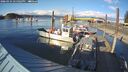 ./images/quadra/hbidock/20260324/hbidock20260324_175001M.jpg