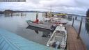 ./images/quadra/hbidock/20260325/hbidock20260325_073001M.jpg