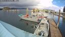 ./images/quadra/hbidock/20260325/hbidock20260325_141001M.jpg