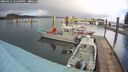 ./images/quadra/hbidock/20260325/hbidock20260325_142500M.jpg