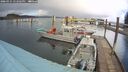 ./images/quadra/hbidock/20260325/hbidock20260325_142501M.jpg