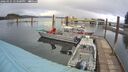 ./images/quadra/hbidock/20260325/hbidock20260325_143501M.jpg
