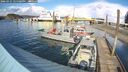 ./images/quadra/hbidock/20260325/hbidock20260325_155501M.jpg