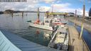 ./images/quadra/hbidock/20260325/hbidock20260325_163500M.jpg