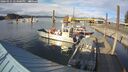 ./images/quadra/hbidock/20260325/hbidock20260325_174501M.jpg