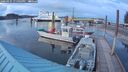 ./images/quadra/hbidock/20260325/hbidock20260325_195002M.jpg