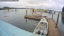 ./images/quadra/hbidock/20260326/hbidock20260326_092501M.jpg