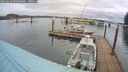 ./images/quadra/hbidock/20260326/hbidock20260326_093001M.jpg