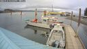 ./images/quadra/hbidock/20260326/hbidock20260326_161002M.jpg