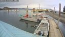 ./images/quadra/hbidock/20260326/hbidock20260326_175501M.jpg