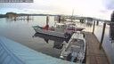 ./images/quadra/hbidock/20260328/hbidock20260328_081000M.jpg