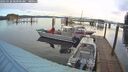 ./images/quadra/hbidock/20260328/hbidock20260328_081001M.jpg