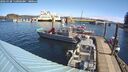 ./images/quadra/hbidock/20260328/hbidock20260328_110001M.jpg