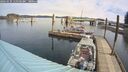 ./images/quadra/hbidock/20260331/hbidock20260331_111501M.jpg