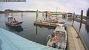 ./images/quadra/hbidock/20260331/hbidock20260331_113001M.jpg