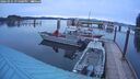 ./images/quadra/hbidock/20260331/hbidock20260331_195000M.jpg