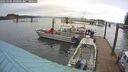 ./images/quadra/hbidock/20260401/hbidock20260401_095001M.jpg