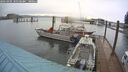 ./images/quadra/hbidock/20260401/hbidock20260401_101501M.jpg