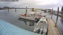 ./images/quadra/hbidock/20260403/hbidock20260403_111501M.jpg