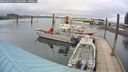 ./images/quadra/hbidock/20260403/hbidock20260403_113000M.jpg
