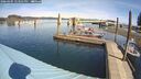 ./images/quadra/hbidock/20260405/hbidock20260405_123501M.jpg
