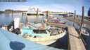 ./images/quadra/hbidock/20260405/hbidock20260405_125501M.jpg