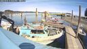 ./images/quadra/hbidock/20260405/hbidock20260405_133501M.jpg