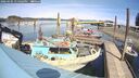 ./images/quadra/hbidock/20260405/hbidock20260405_134501M.jpg