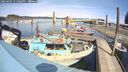 ./images/quadra/hbidock/20260405/hbidock20260405_135002M.jpg