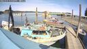 ./images/quadra/hbidock/20260405/hbidock20260405_143501M.jpg