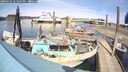 ./images/quadra/hbidock/20260405/hbidock20260405_144501M.jpg