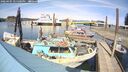 ./images/quadra/hbidock/20260405/hbidock20260405_145500M.jpg