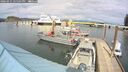 ./images/quadra/hbidock/20260411/hbidock20260411_145501M.jpg
